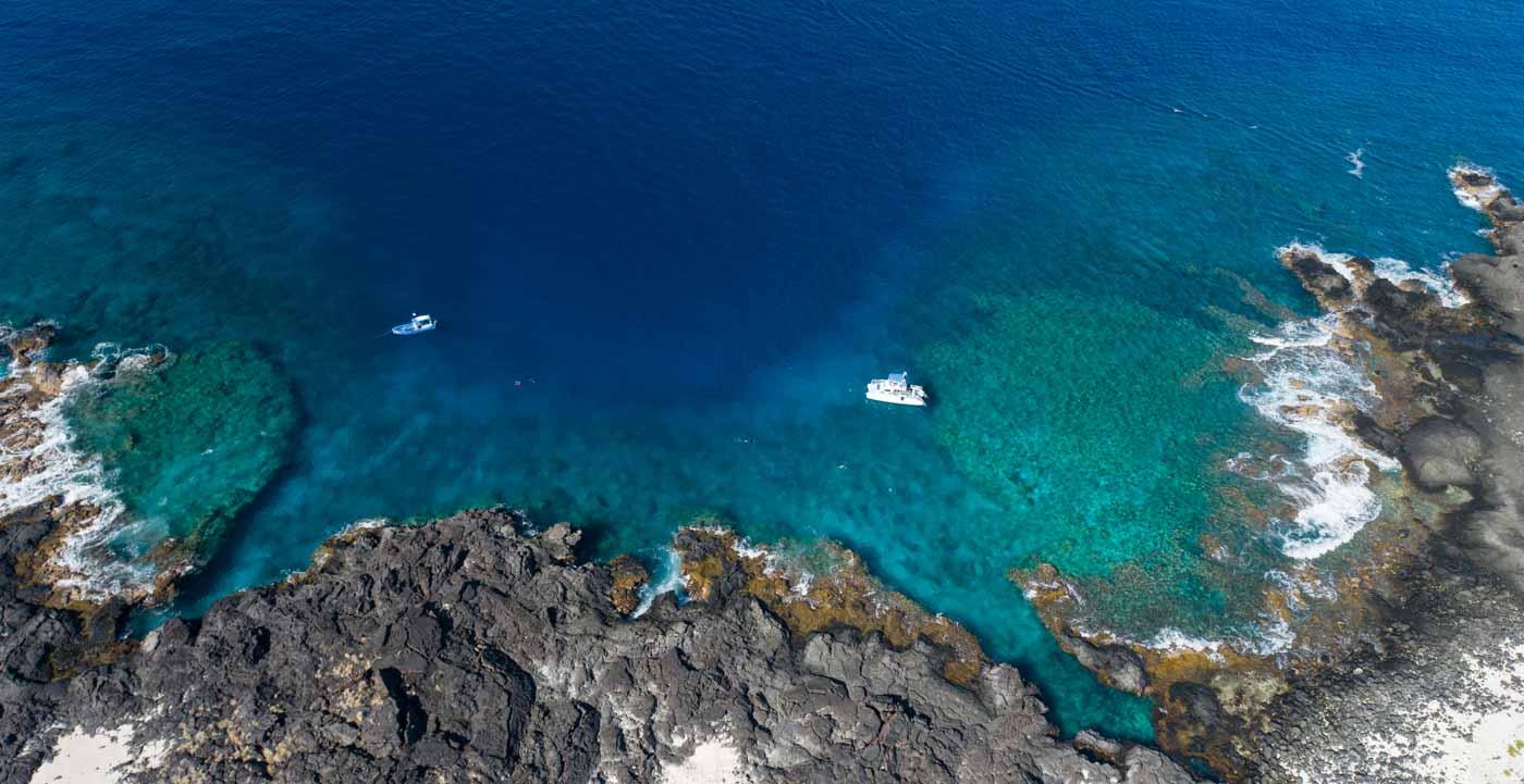 a close up of a rock next to a body of water