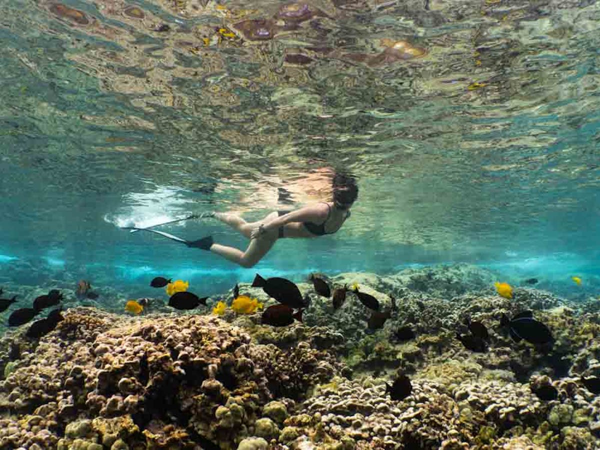 a woman snorkels on the reef underwater