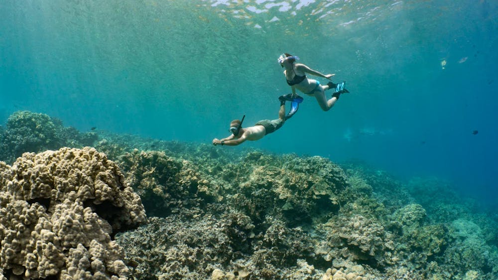 A man and a woman snorkel underwater over a beautiful golden reef with light rays streaming down
