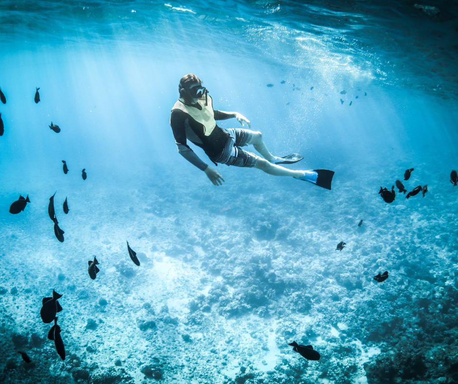 a man with a flock of seagulls in a pool of water