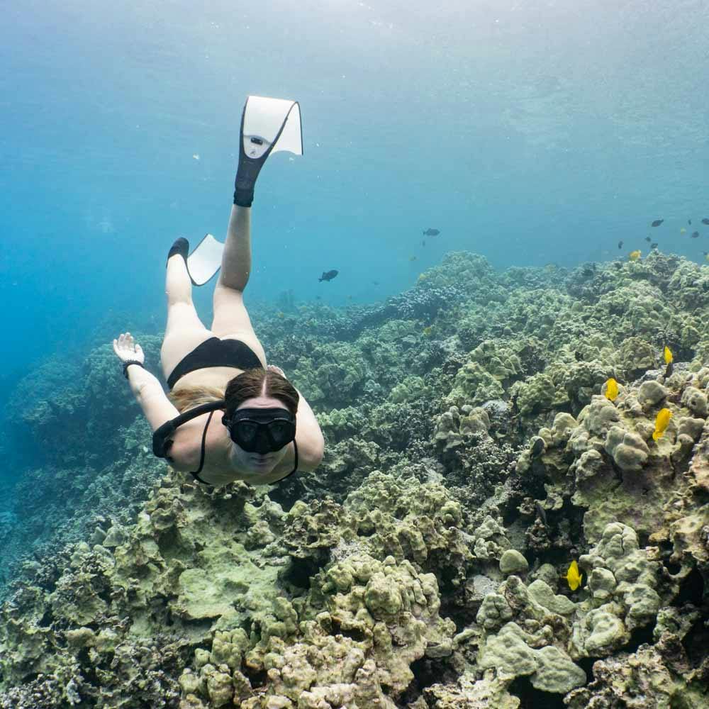 Do You Have To Wear Fins When Snorkeling?