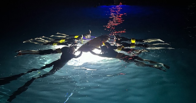 a group of people riding skis on a body of water