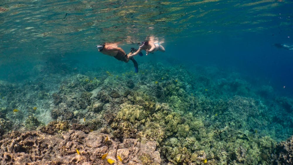 two people snorkeling in the ocean with reef and colorful fish below