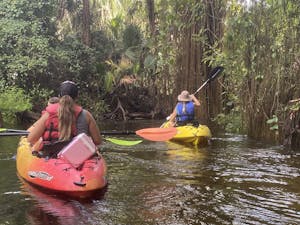 Experience kayaking in backwaters of Jupiter.