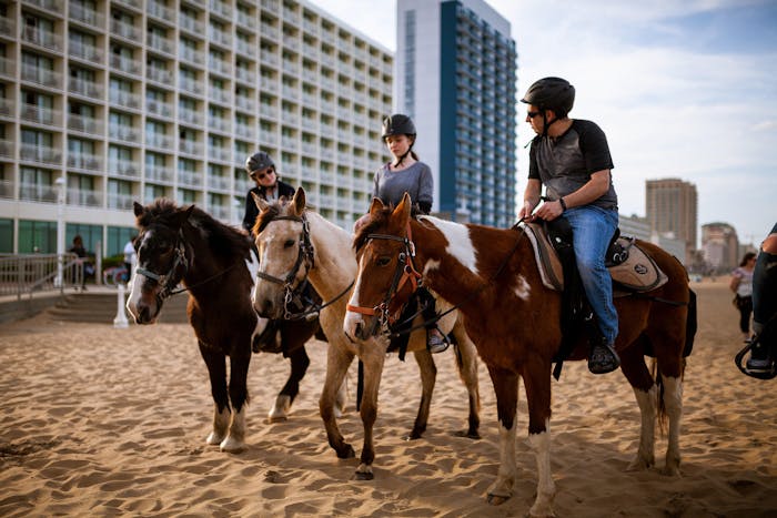 Virginia Beach Horseback Virginia Is For Lovers