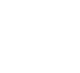 Logo Borea white
