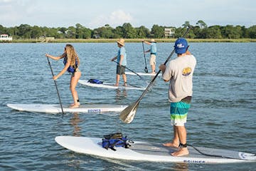 four people on paddle boards
