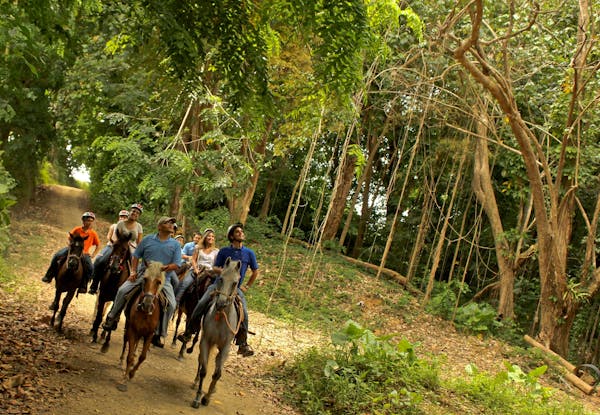 Gallery | Carabali Rainforest Adventure Park