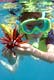 snorkeling excursions oahu