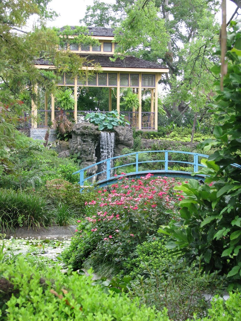 Tea Garden in Spring