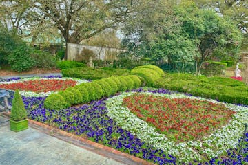 a close up of a flower garden with Prescott Park in the background