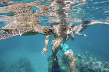 a turtle swimming under water with 2 snorkelers