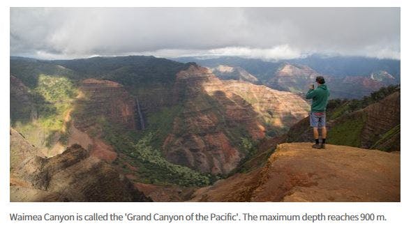 a person standing in front of Waimea Canyon State Park