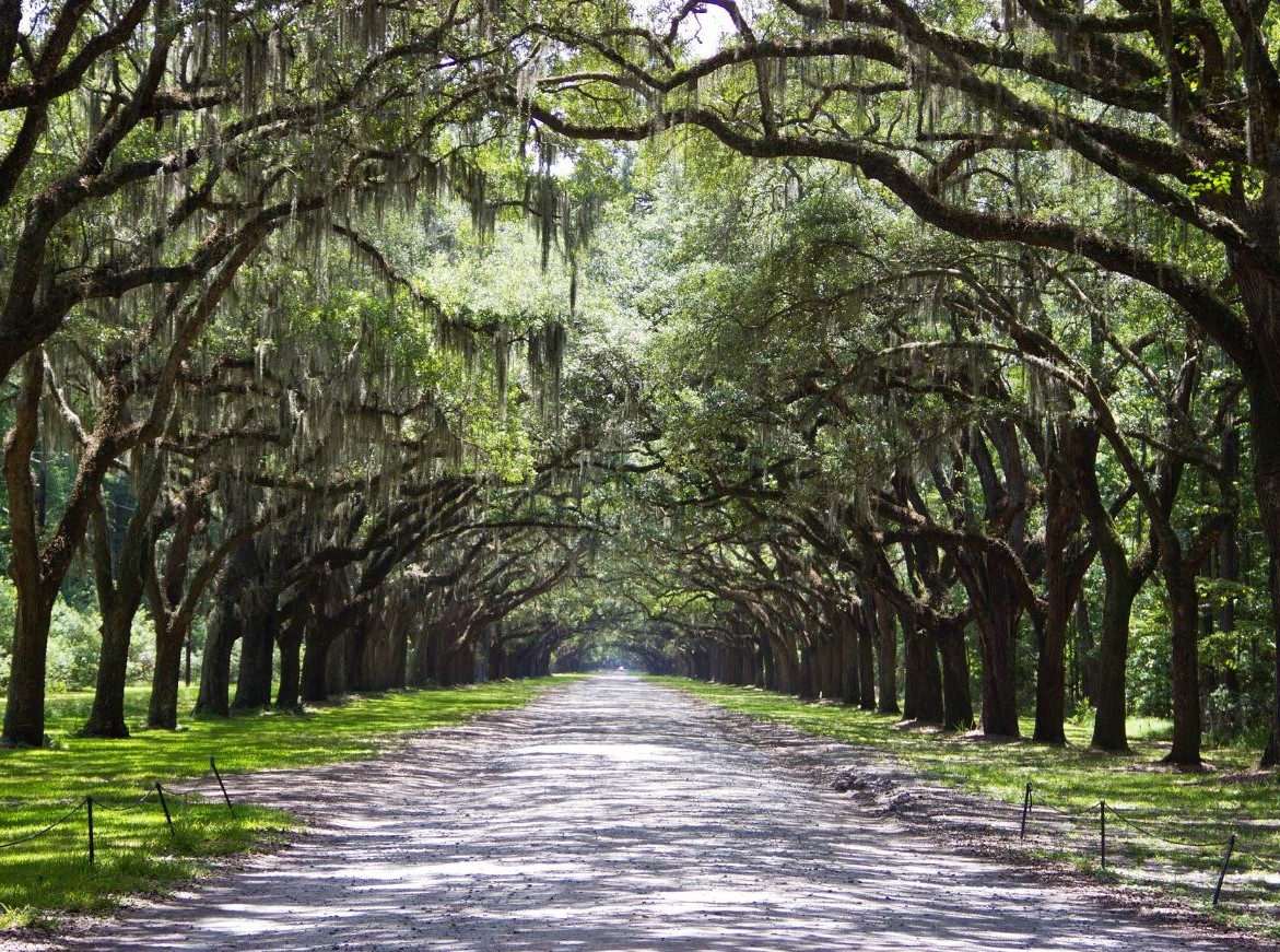 ULTIMATE SAVANNAH DAY TRIP | Outside Savannah