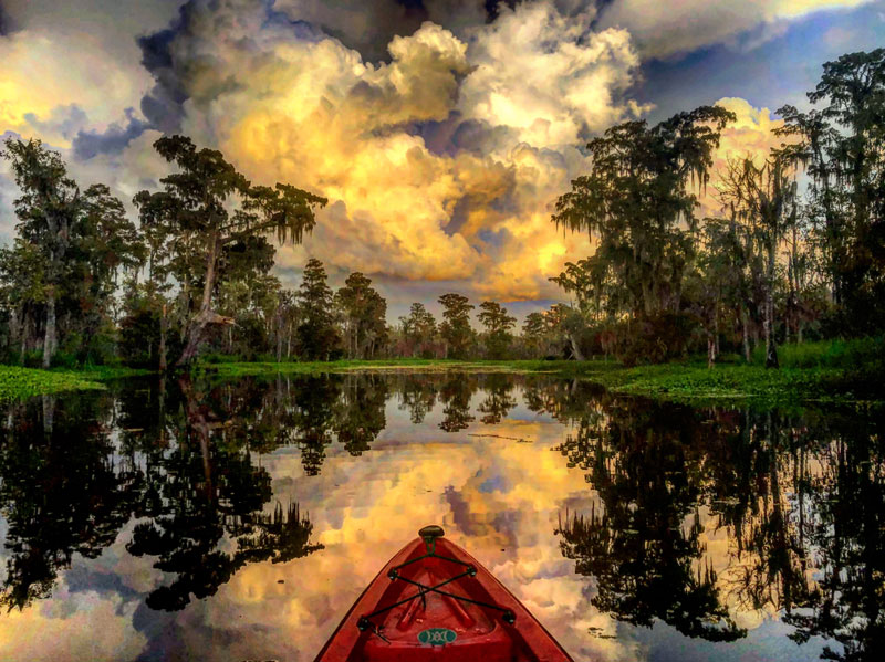 Kayak New Orleans around the swamps