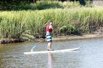 Guy on stand up paddle board in the water along the shore