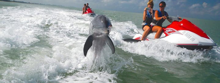 naples dolphin tour bonita jet ski & parasail