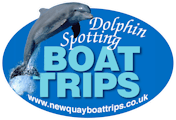 New Quay Boat Trips