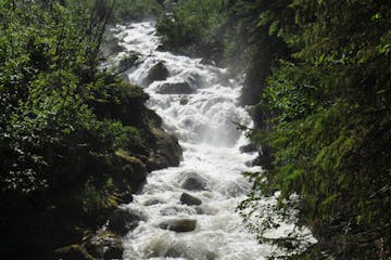 rushing river through forest in Alaska