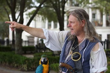 pirate with a parrot