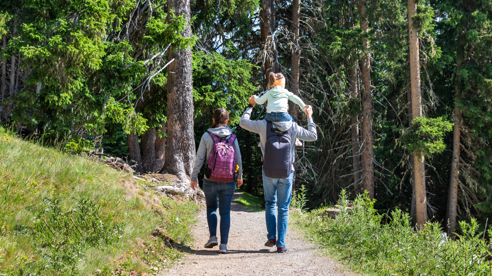 a family of three walk through a forest