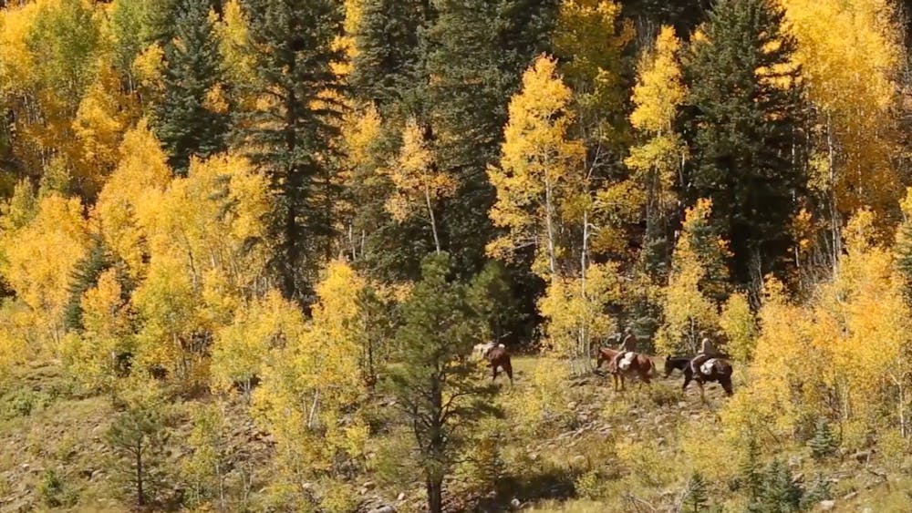 a group of people riding horses on the fall