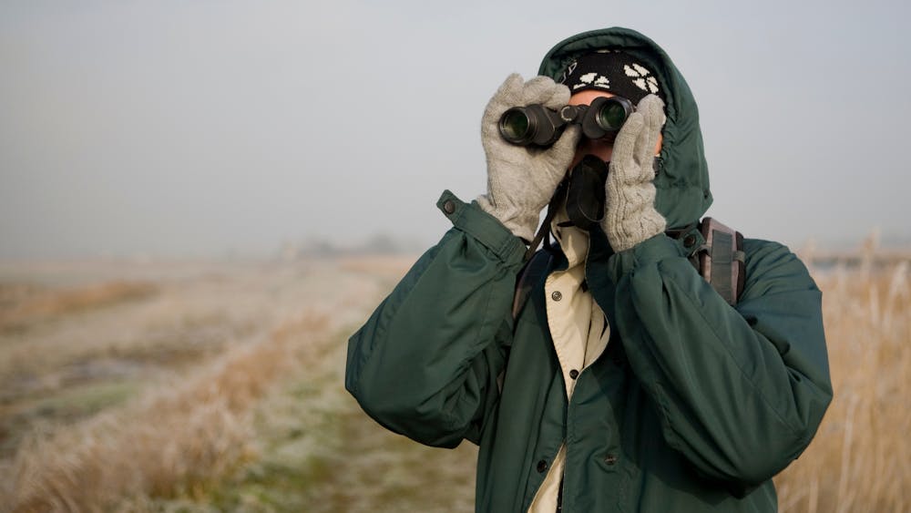 a person bird watching in winter