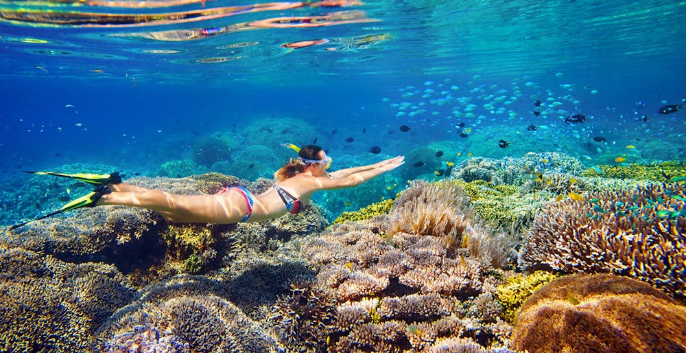 snorkeling tours in oahu hawaii