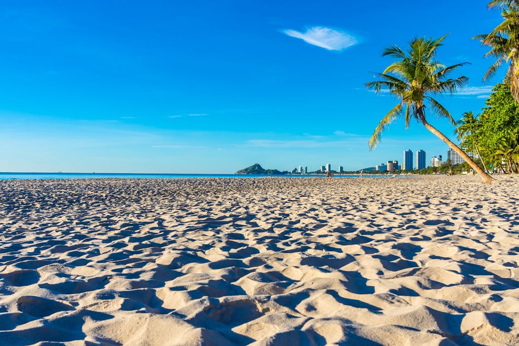 Stunning beach with coconut tree