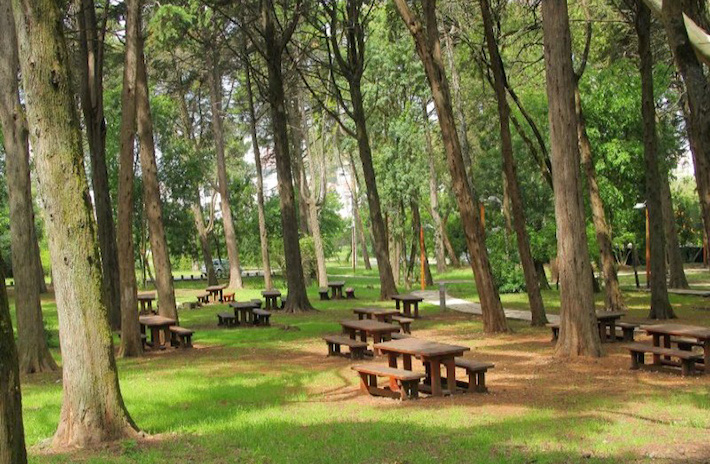 a park bench next to a tree