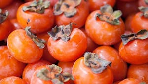 a pile of persimmons