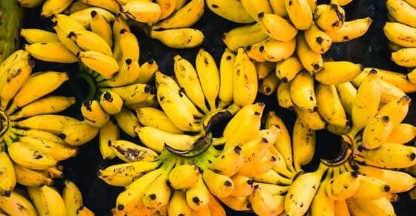 a bunch of bananas and other fruit