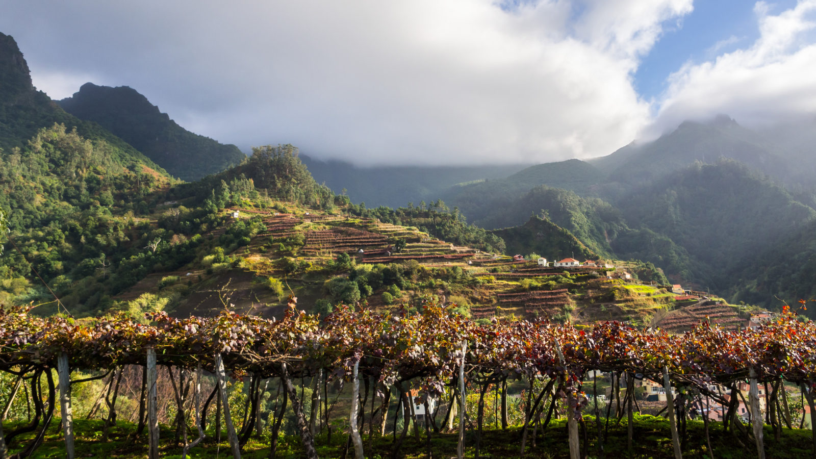 Quick introduction to Portuguese wine and Portugal’s wine regions