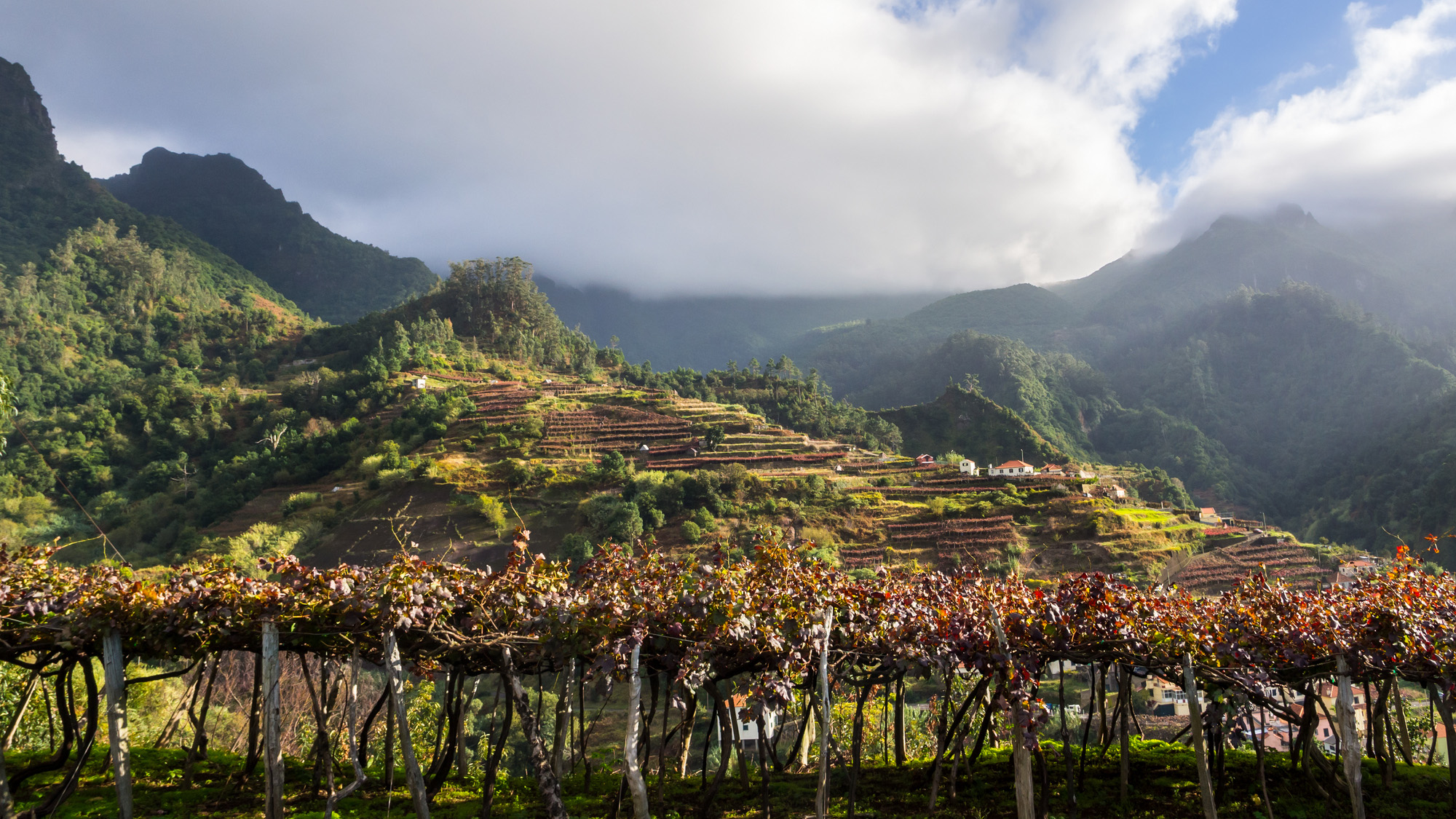 Portuguese wine regions