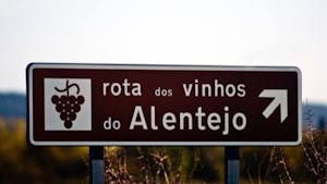 Portuguese wine regions
