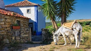 Day trips from Lisbon that us locals also enjoy