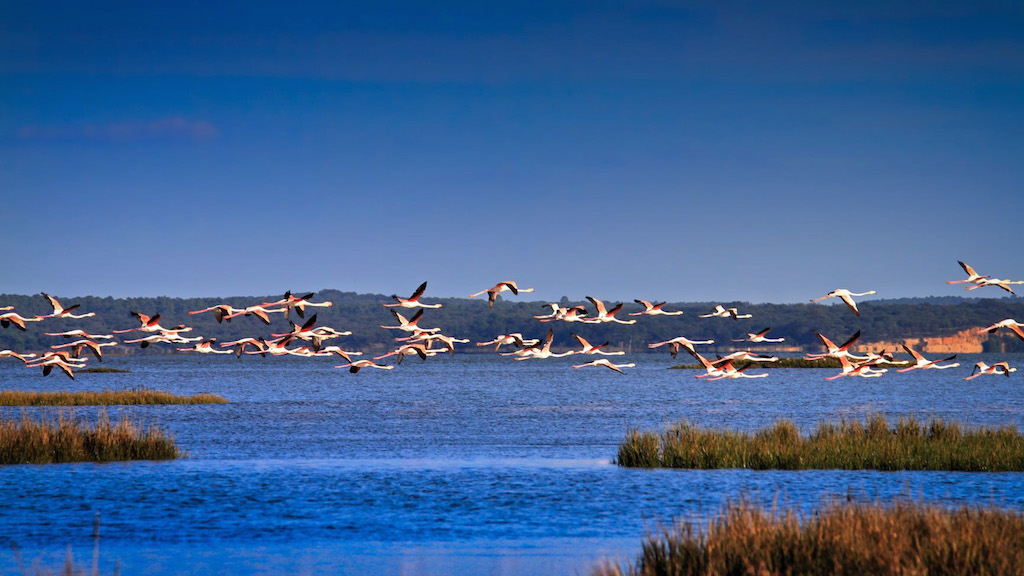 Day trips from Lisbon that us locals also enjoy