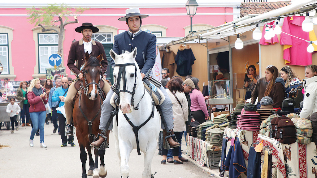 Best time to visit Lisbon - horses