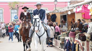 Best time to visit Lisbon - horses