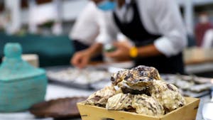 Best time to visit Lisbon - oyster