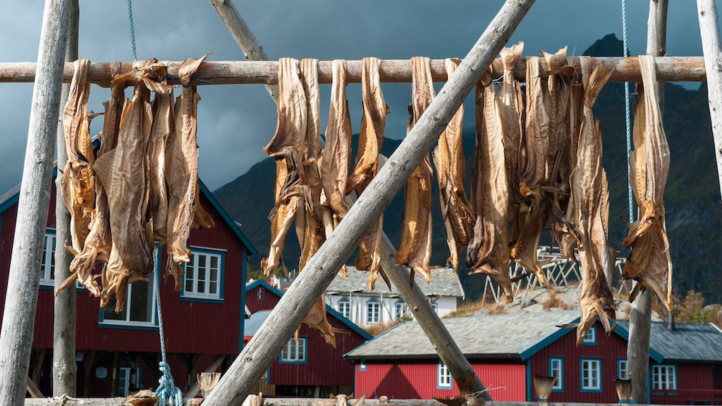 drying cod