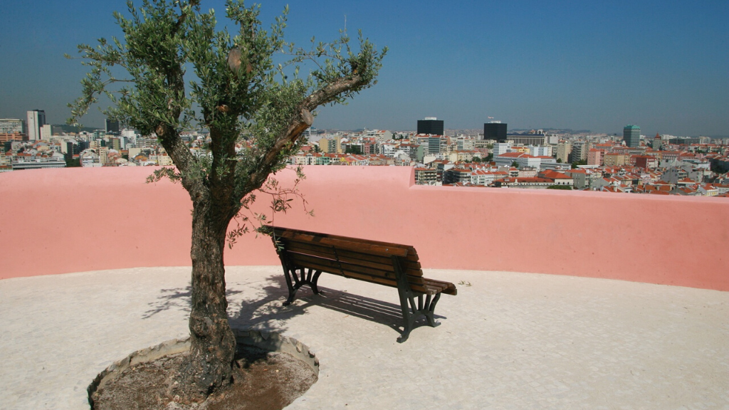 a bench in a park