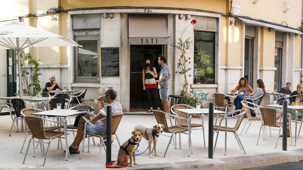 a dog sitting on a chair in front of a building