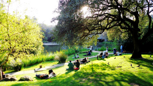 a group of people standing on a lush green park