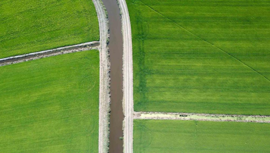 a close up of a green field