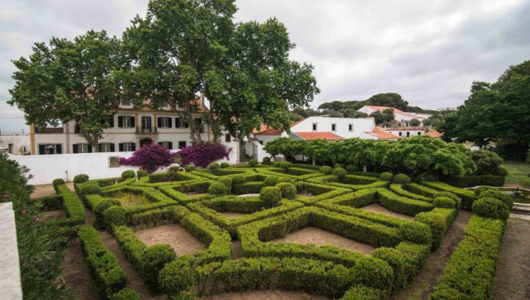 a close up of a garden