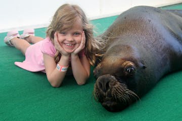 A little girl posed with a sea lion at Coral World Ocean Park