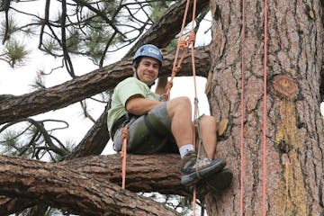 Big Bear Lake Tree Rope Climbing