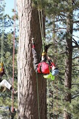 Big Bear Lake Tree Rope Climbing