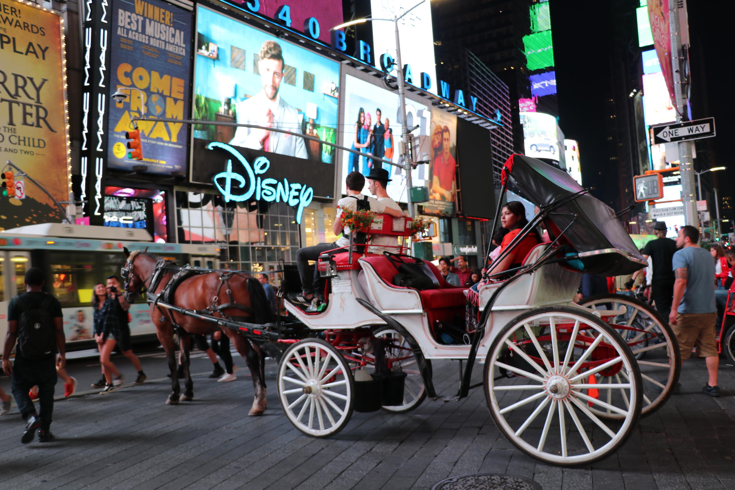 Central park sightseeing horse carriage & pedicab sales tours